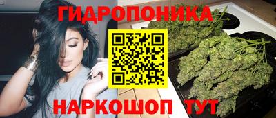 прущие грибы Новоалтайск