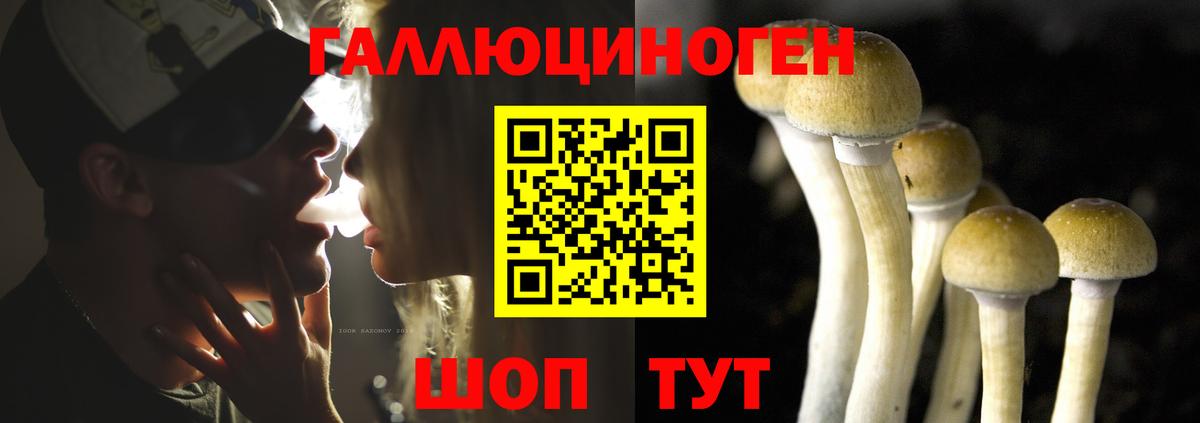 Галлюциногенные грибы мухоморы  Галлюциногенные грибы мицелий  Бийск  Вход с VPN 
